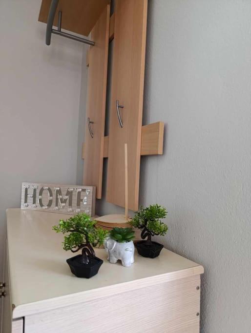 The Nest Apartment Pythagoreio (Samos)